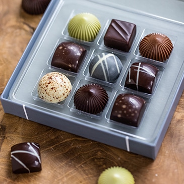 xocogave1-2