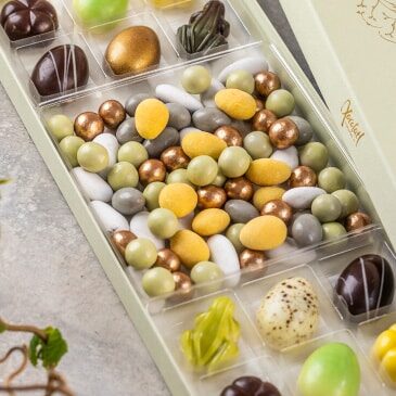 xoco14-2-aspect-ratio-365-365