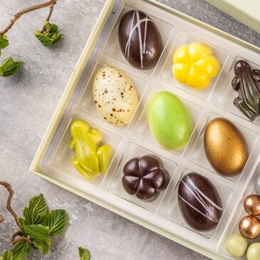 xoco14-3-aspect-ratio-365-365