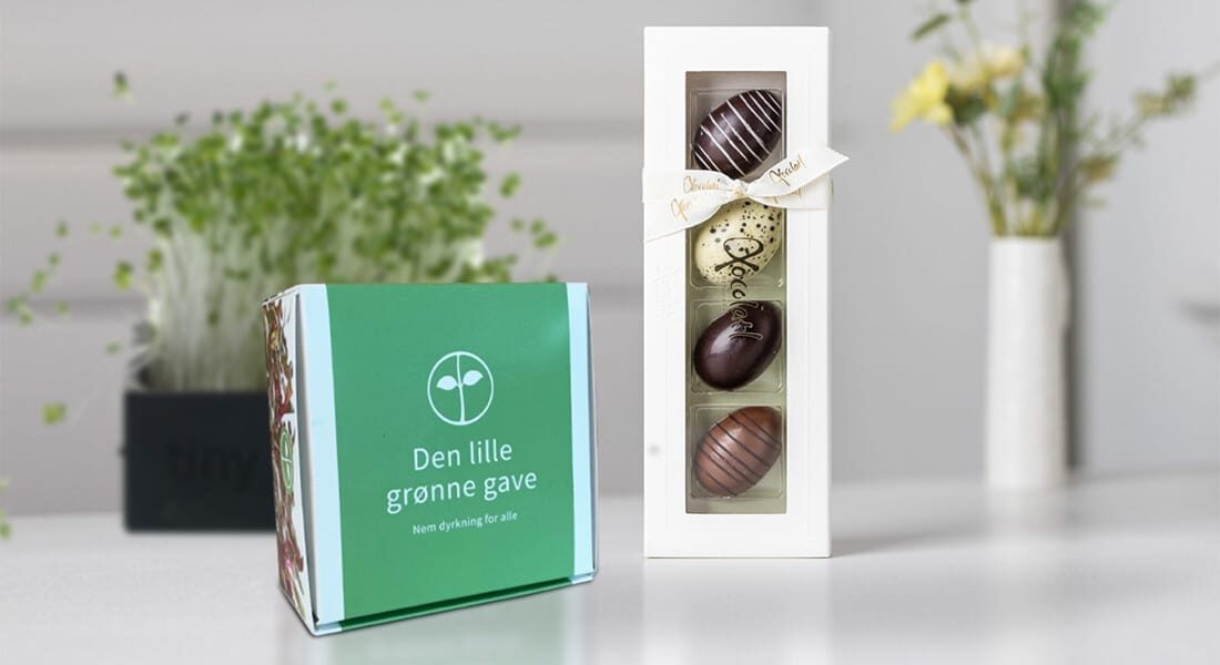 xoco15-1-aspect-ratio-1100-600